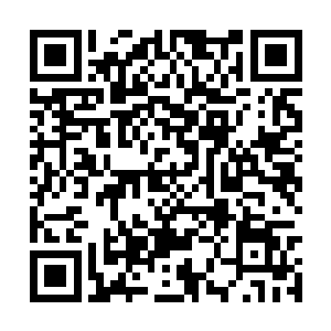 用等离子表面共振技术做细胞膜或者细胞质的区别二维码生成