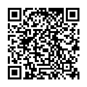 用精灵最大程度的消耗魔潮才是最符合人类利益的抉择吧二维码生成