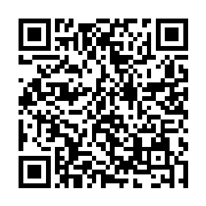 用药得来的机会和父亲主动亲近怜惜您完全是不同的二维码生成