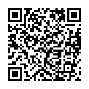 用这种超级食品代替传统食物满足人们的日常生活所需二维码生成