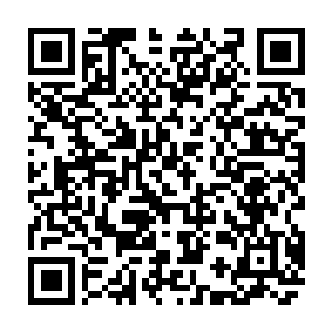 用那尖锐无比的粗壮象牙一头撞击在了黄刑的那条貌似毫不起眼的伤口上二维码生成