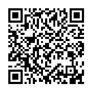 用那粗长的身躯紧紧的缠绕着冷轩和冷二的身体二维码生成