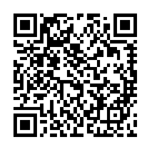 由一个圆滚滚的躯壳和四条自由伸缩的环形机械臂组成二维码生成