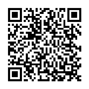 由于上次秦皇国的几名国师在天鹰王国的皇宫中留有感应装置二维码生成