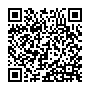 由于他们拿的是大姨夫那个建筑公司的介绍信入住的二维码生成