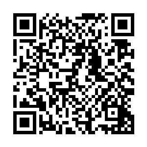 由于没有人愿意和克里委员长以及戈多委员长住在一间房间二维码生成