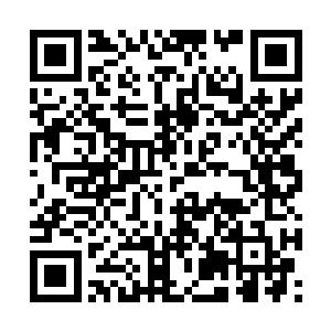 由于莫崎的无视和流墨墨他们这边还未完毕的塑骨二维码生成