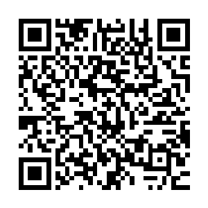 由几十名帝国外围世界军阀和地头蛇组成的指挥层原本还在狞笑二维码生成