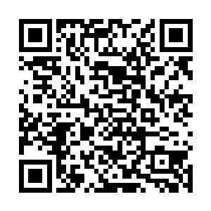 由大成之境的木之意催动之下的碧碧青草变得十分强韧二维码生成