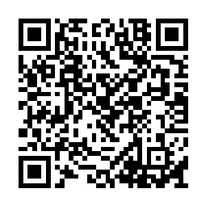 由巫城十二大祭司共同决断是否可行和效果如何二维码生成