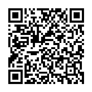 由此判断出大白星盗团和修真者舰队的数量以及战斗力时二维码生成