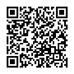 由此可见四人一体和荣耀至死的这一次对决是多么的受瞩目二维码生成