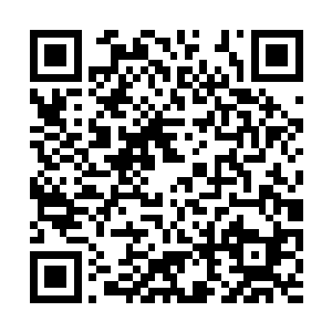 申屠莹莹便将飞行战车和两千万灵石交给了华夏九二维码生成