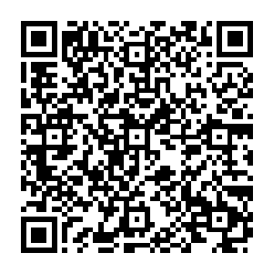 电影就是围绕着一个名为黑死病的摇滚乐团展开的――他们的主唱在演唱会中遭人暗杀二维码生成