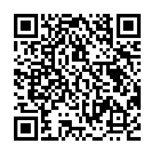 电影艺术与科学学院显然对于雨果过去一年的表现是十分满意的二维码生成