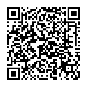 画面中一个齐耳黑发的小女孩捧着一把红木梳子献宝似的递到了左寒面前二维码生成