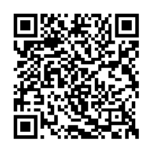 留在后边的列别捷夫和罗茨托斯基已经开上了车二维码生成