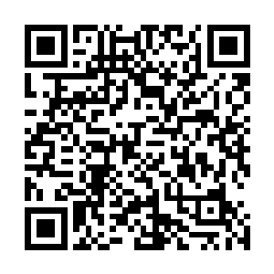 留在车上的丫鬟环儿看到自家公主竟然带了个陌生男子回来二维码生成