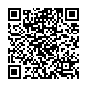 留守在这里的两大太始境老祖同样在密切的关注雪宗那边的情况二维码生成