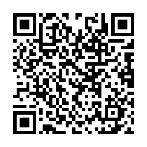 留王也不怕李鸾儿一掌将他拍到地上抠都抠不出来二维码生成