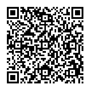 畜生 你毁我茅山道统根基 我今日就要将你绳之以法 以告慰我在灵界之上的祖祖辈辈 二维码生成