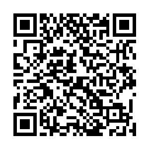 疯一般地推开了准备带走林国栋的检察院反贪局执法人员二维码生成