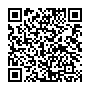痛觉神经会持续好几分钟都不停的发出疼痛的信号二维码生成