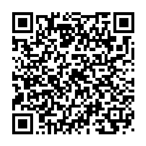 登神台是天龙宗为了龙傲天渡劫刻意建造的数万平米的巨大的高台二维码生成