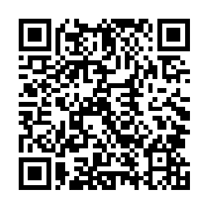 白伶儿问询玲玲是否已经把林辉的事情调查的一清二白了二维码生成