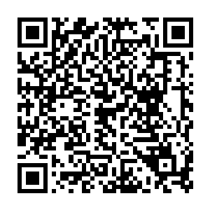 白兰把妮娜再一次放到了那个在妮娜看来有些像棺材的营养液槽当中二维码生成