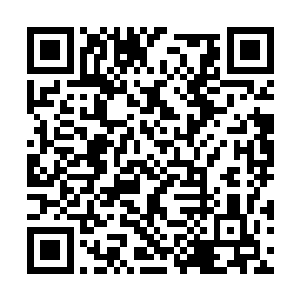 白婷便发现自己发出的传音符轩辕澈已经不回复了二维码生成