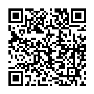 白家占据峡谷的入口守护的阵型一下子便是被云沧海给冲开二维码生成
