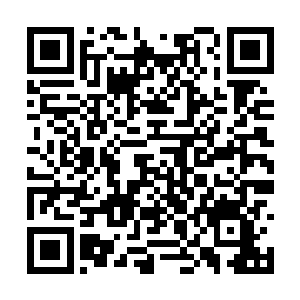 白小飞全神警备－－在黑夜中会发出绿色光的眼珠二维码生成