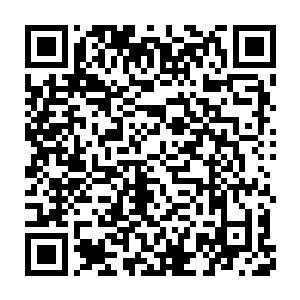 白振东只好把今晚发生在二号码头的事如实的给沈笑薇讲述了一遍二维码生成