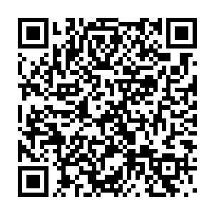 白振东希望利用这个仿造的生化病毒炸弹能救出自己的爸妈和天天二维码生成