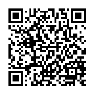 白掌柜只感觉到他释放出去的神识竟然被这把大刀斩断了一部分二维码生成
