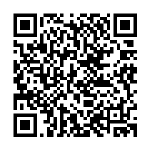白昊也终于体会到为什么天哥在见到温老后会表现的那么不堪了二维码生成