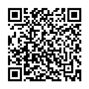 白狗子完全没有必要亲眼看着毕燕青等人上哪辆车了二维码生成
