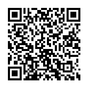 白芷璃刚刚丢进去的几样东西全部都倒在了地上二维码生成