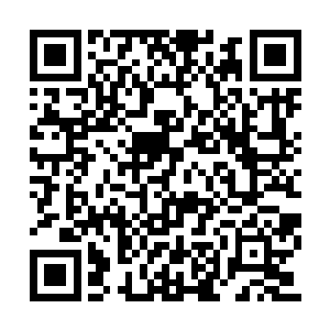 白芷璃现在可是时时刻刻都保持这个紧绷的神经二维码生成