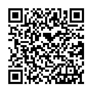 白芷璃看到东黎墨这么激动的问着自己这个问题二维码生成