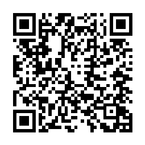 白芷璃让伙计将东黎墨送过来的稀世珍宝都抬到了后面二维码生成