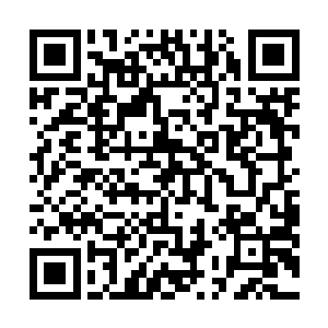 白芷蔷现在很想知道六王爷东黎墨现在是个什么样的神情二维码生成