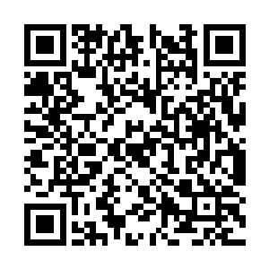 白芷蔷眼神如炬的看着东黎墨和白芷璃之间的互动二维码生成