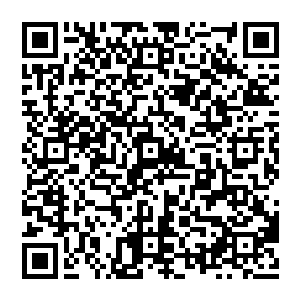 白衣老头说完就把流墨墨的任务簿放到任务本上然后连点几下后和五块风灵石一起放到流墨墨面前二维码生成