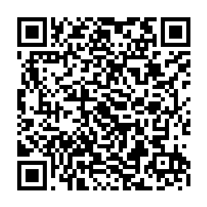 白面姐姐不就是因为被人连续侵入了两次意识所以才会造成她的精力消耗过度二维码生成