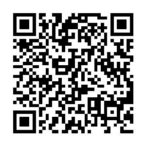 百十年也不见得有一位天仙会从无恒界大瑶山脉经过二维码生成