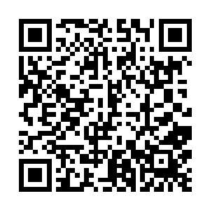 百石的堡垒这三种规格划分了没有填写名字的委任状二维码生成