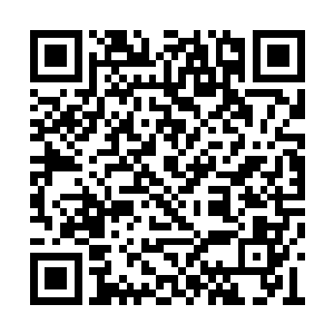 的上映还是让雨果成为了其中不可或缺的一部分二维码生成