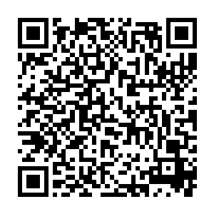的尼古拉斯在报道之中将雨果和布拉德选出来作为对手不是没有理由的二维码生成